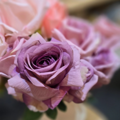 RAMO ROSAS - comprar online