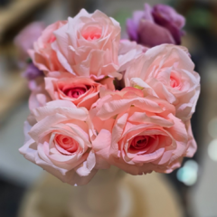 RAMO ROSAS en internet