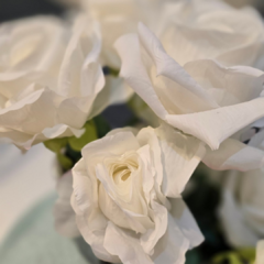 RAMO ROSAS