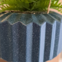 MACETA COLGANTE CON HELECHO - tienda online