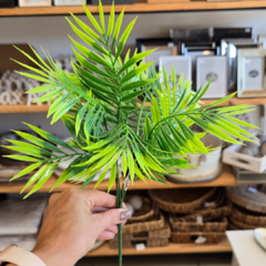 MATA MINI ARECA 35CM - Enamorart
