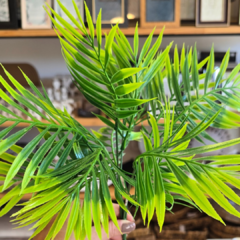 MATA MINI ARECA 35CM en internet