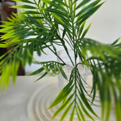 MATA MINI ARECA 35CM
