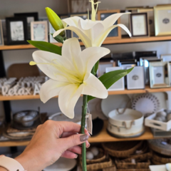 PICK DE LILIUM X2 FLORES - Enamorart