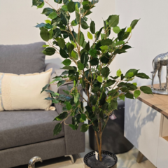 ARECA CON MACETA 1,50MT
