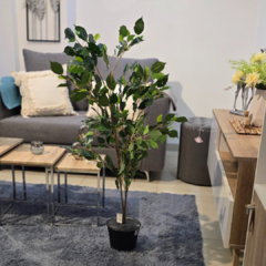 ARECA CON MACETA 1,50MT en internet