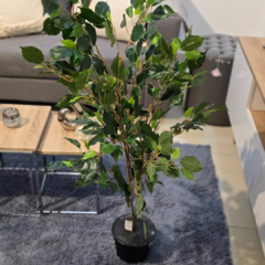 ARECA CON MACETA 1,50MT - comprar online