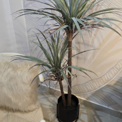 PLANTA 135