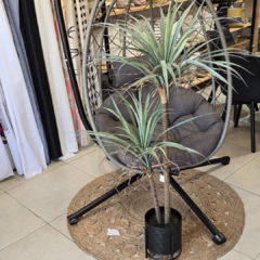 PLANTA 135 en internet