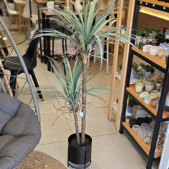 PLANTA 135 - comprar online