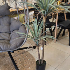PLANTA 135