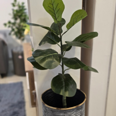 PLANTA 70CM en internet