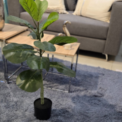 PLANTA 70CM - comprar online