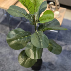 PLANTA 70CM - Enamorart