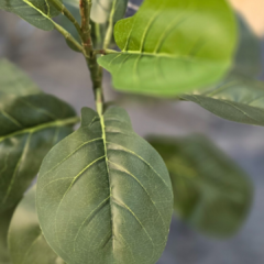 PLANTA 70CM - tienda online