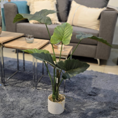 PLANTA 70CM HOJAS GRANDES - comprar online