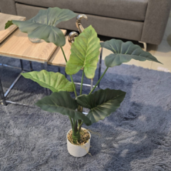 PLANTA 70CM HOJAS GRANDES