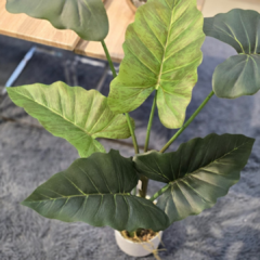 PLANTA 70CM HOJAS GRANDES en internet