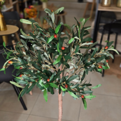 PLANTA OLIVO CON MACETA 1.20 en internet