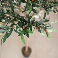 PLANTA OLIVO CON MACETA 1.20 - Enamorart