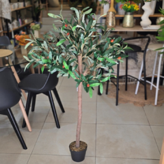 PLANTA OLIVO CON MACETA 1.20