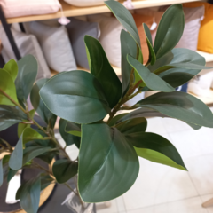 RAMA HOJAS VERDES - comprar online
