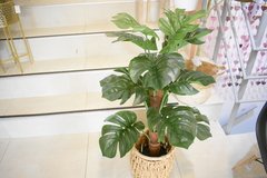 PALMERA 90cm