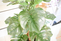 PALMERA 90cm - comprar online