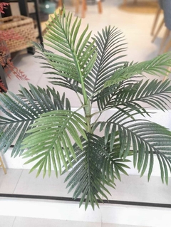 PLANTA PALMERA 1.10 en internet