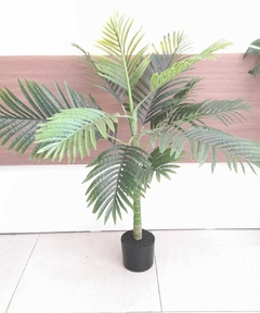 PLANTA PALMERA 1.10