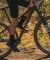 BICICLETA VOLTA SVEL BOOST RODADO 29 SHIMANO SLX 1x12 CUBIERTAS TUBELESS en internet