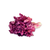 Lechuga Morada