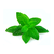 Menta