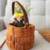 Alça de Cesto Sweet 40cm - Pespontada com argola articulada (Unid.) - comprar online