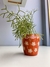 Vaso de plantas - marrom na internet