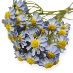 Ramo Vara Silvestre Artificial flor flores