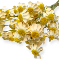 Ramo Vara Silvestre Artificial flor flores - comprar online