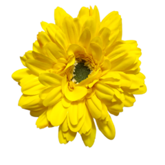 Flor Ramo Vara Silvestre Flores Artificial Deco Hogar - comprar online