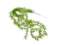 Ramo Enredadera Flor Artificial Plastico Verde larga