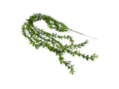 Ramo Enredadera Flor Artificial Plastico Verde larga - pachos