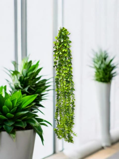 Ramo Enredadera Flor Artificial Plastico Verde larga - pachos