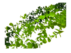 Imagen de Ramo Enredadera Flor Artificial Plastico Verde larga