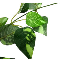 Guirnalda Guia Hojas Verdes Artificial Deco Enredadera - tienda online