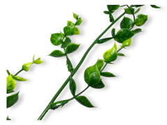 Enredadera Guia Hojas Verdes Artificial Deco - tienda online