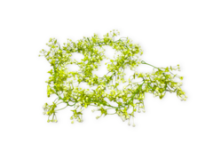 Enredadera Guia Hojas Flores Artificial Deco - comprar online