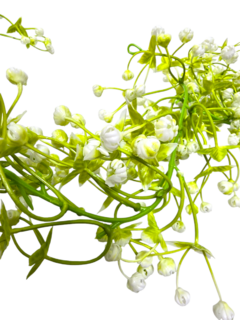 Ramo Enredadera Guia Hojas Flores Artificial Deco - pachos
