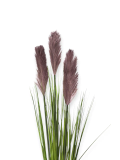 Imagen de Ramo Flor de Caña Artificial Deco Colores