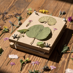 Prensa Floral - comprar online