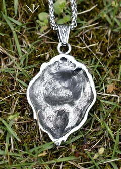 Colar Masculino Leão Viking Aço Inox - Pulseiras e Acessórios Masculino | Sr Lordre