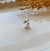 Imagem do Berloque pingente ioga prata 925